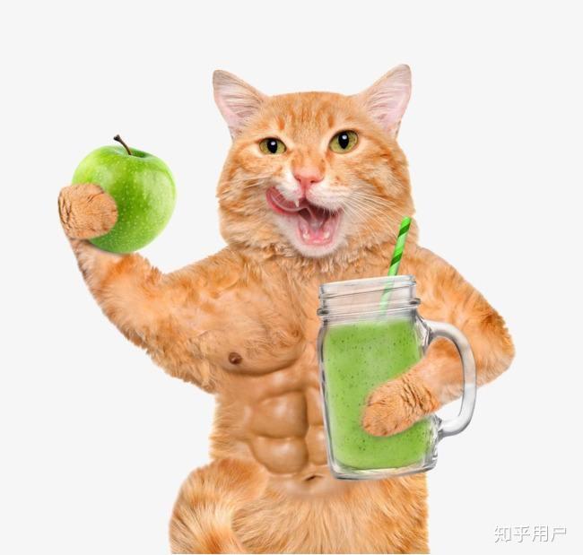 肌肉猫沙雕图图片