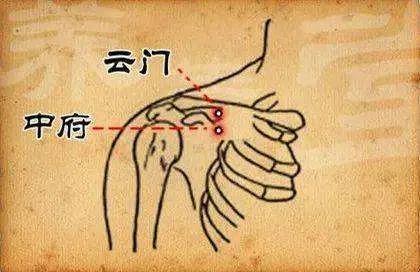 人体十二募穴 - 知乎