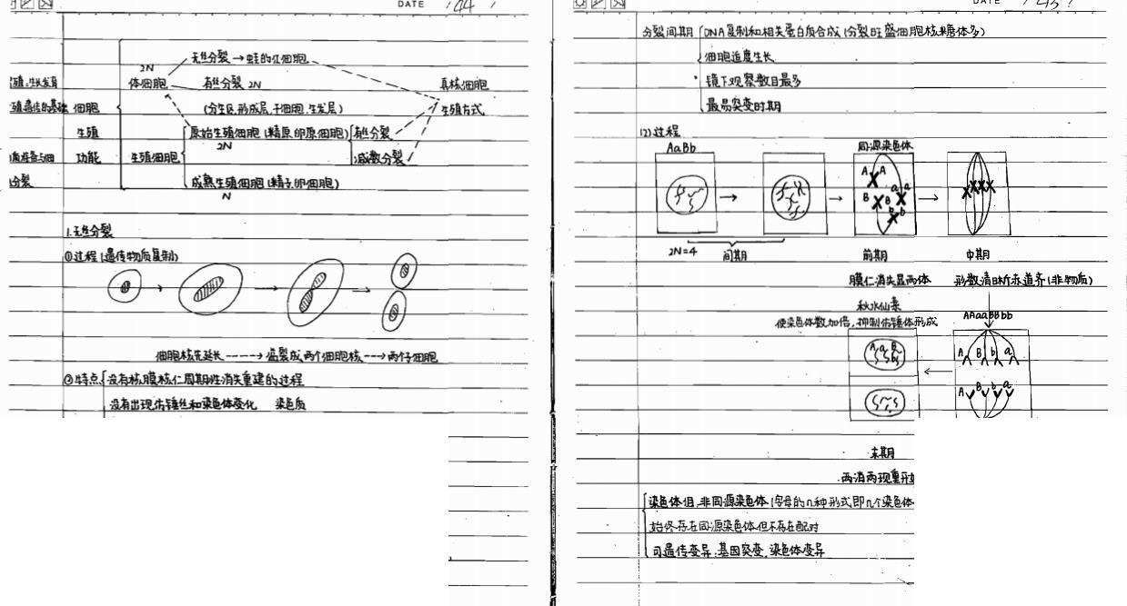 88页高中生物笔记 三年重点 照学生物满分 高中生人手一份 知乎