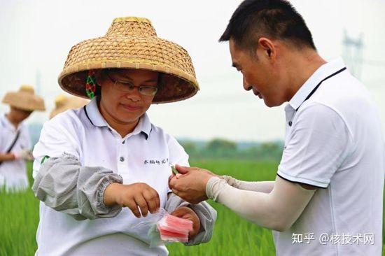 “小众”的种子专业为何热起来了 种业人才供不应求 其中就有航天育种引发诱变的种子 - 知乎
