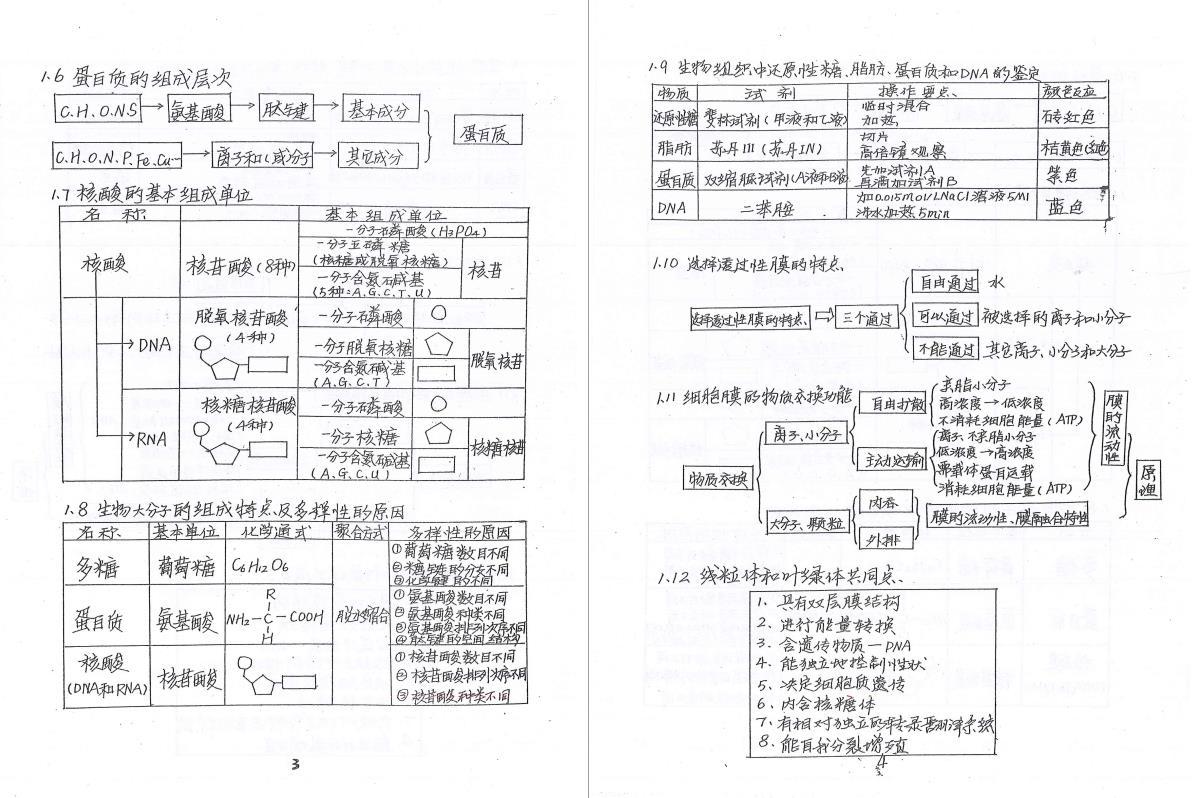 高考学霸手写生物笔记 比教材都全 照着学 生物85 知乎