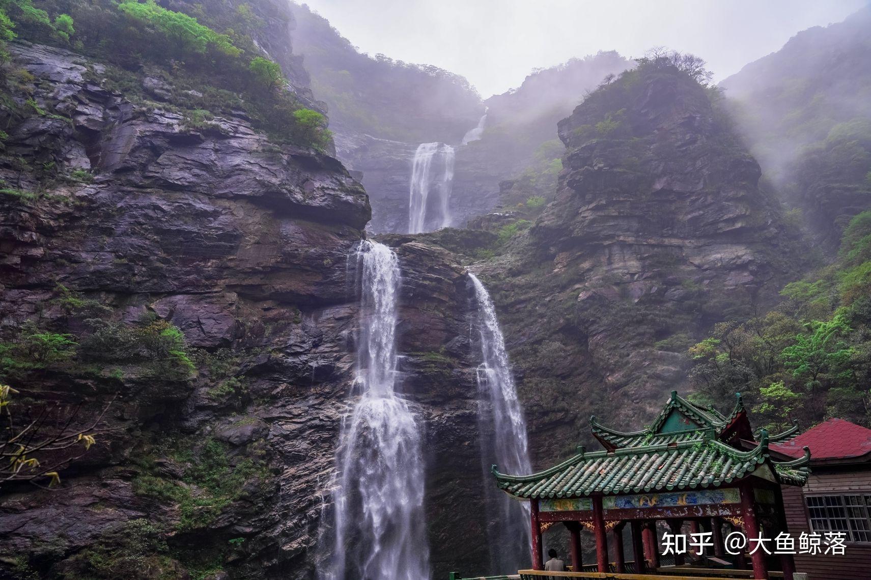 2020庐山植物园-旅游攻略-门票-地址-问答-游记点评，九江旅游旅游景点推荐-去哪儿攻略