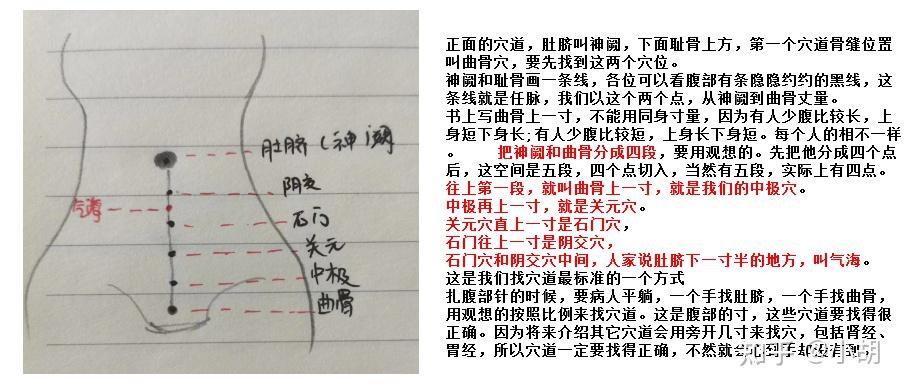 倪海厦针灸课笔记(3)十二经络与奇经八脉 - 知乎