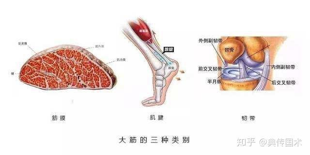 如何打熬筋骨