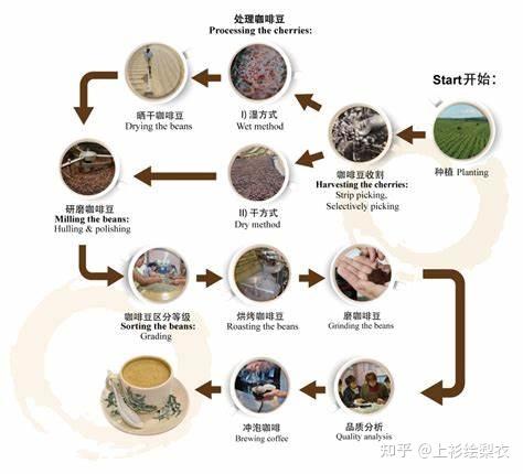 2021热门咖啡测评市面上挂耳咖啡怎么选哪款咖啡值得无限回购永璞