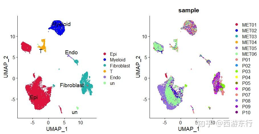 scRNA分析|单细胞文献Fig1中的分组umap图和细胞比例柱形图 - 知乎