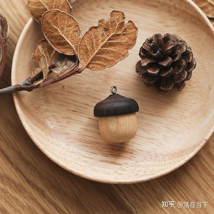 松果和橡果是一个东西吗? - 知乎