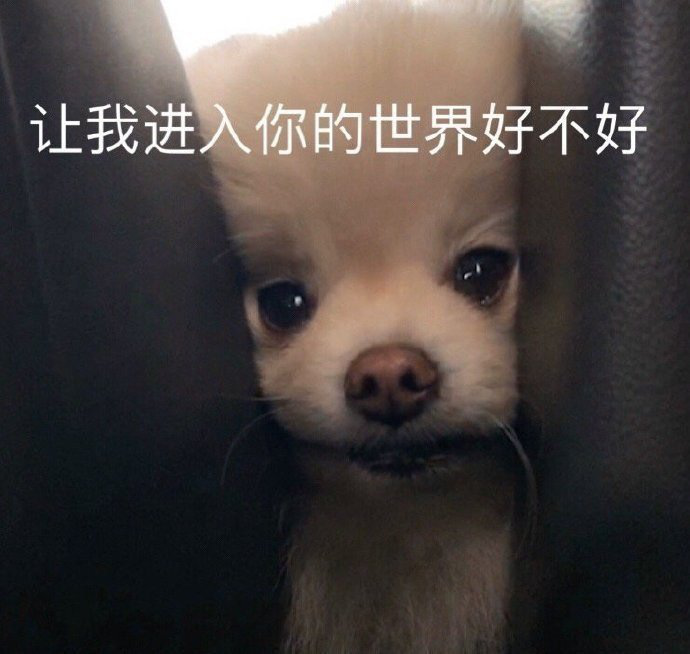 有哪些让"沙雕之魂"熊熊燃烧的朋友圈文案? - 知乎