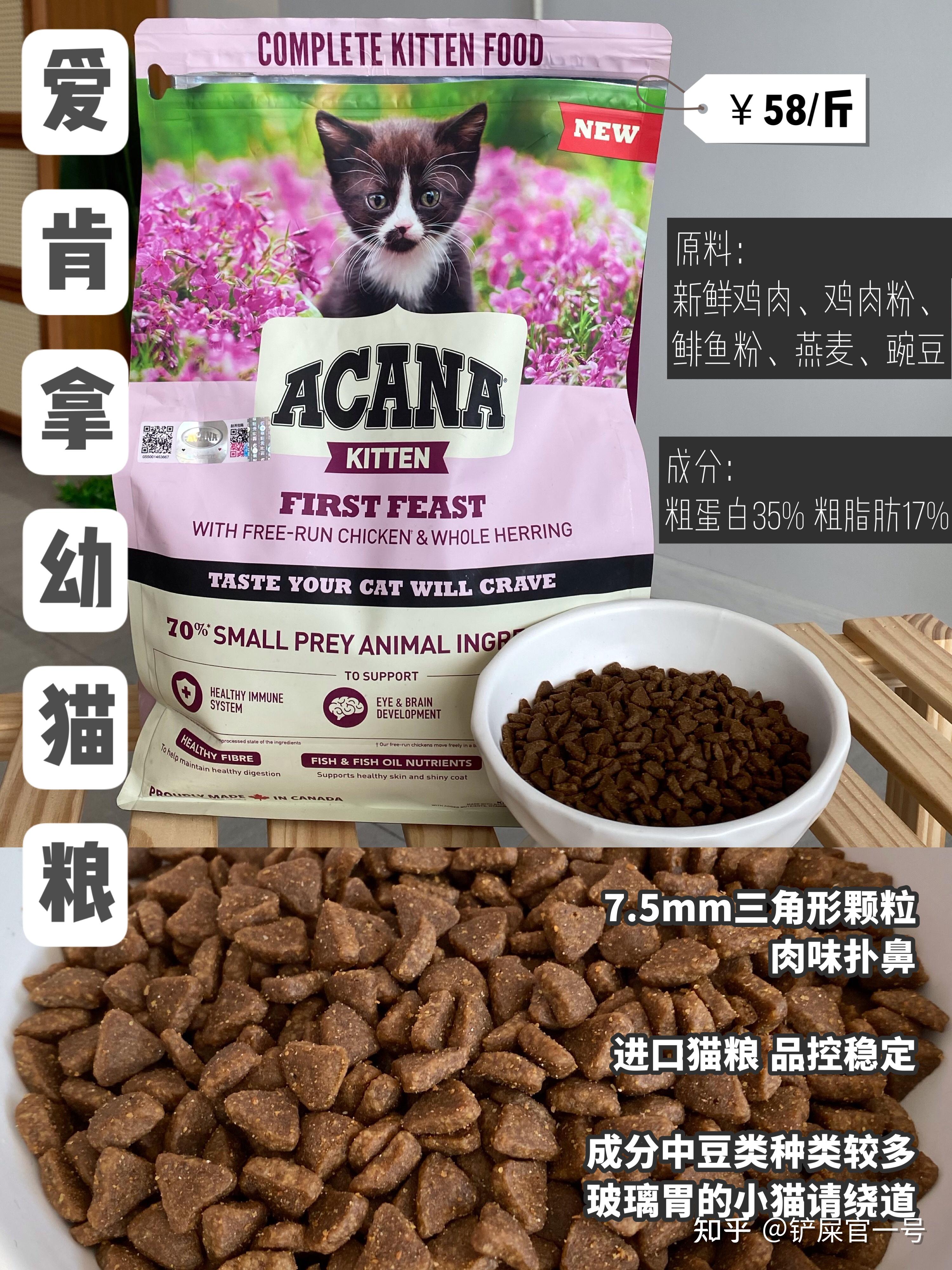 新手刚接了只2个月小奶猫,有什么好的幼猫粮推荐? - 知乎