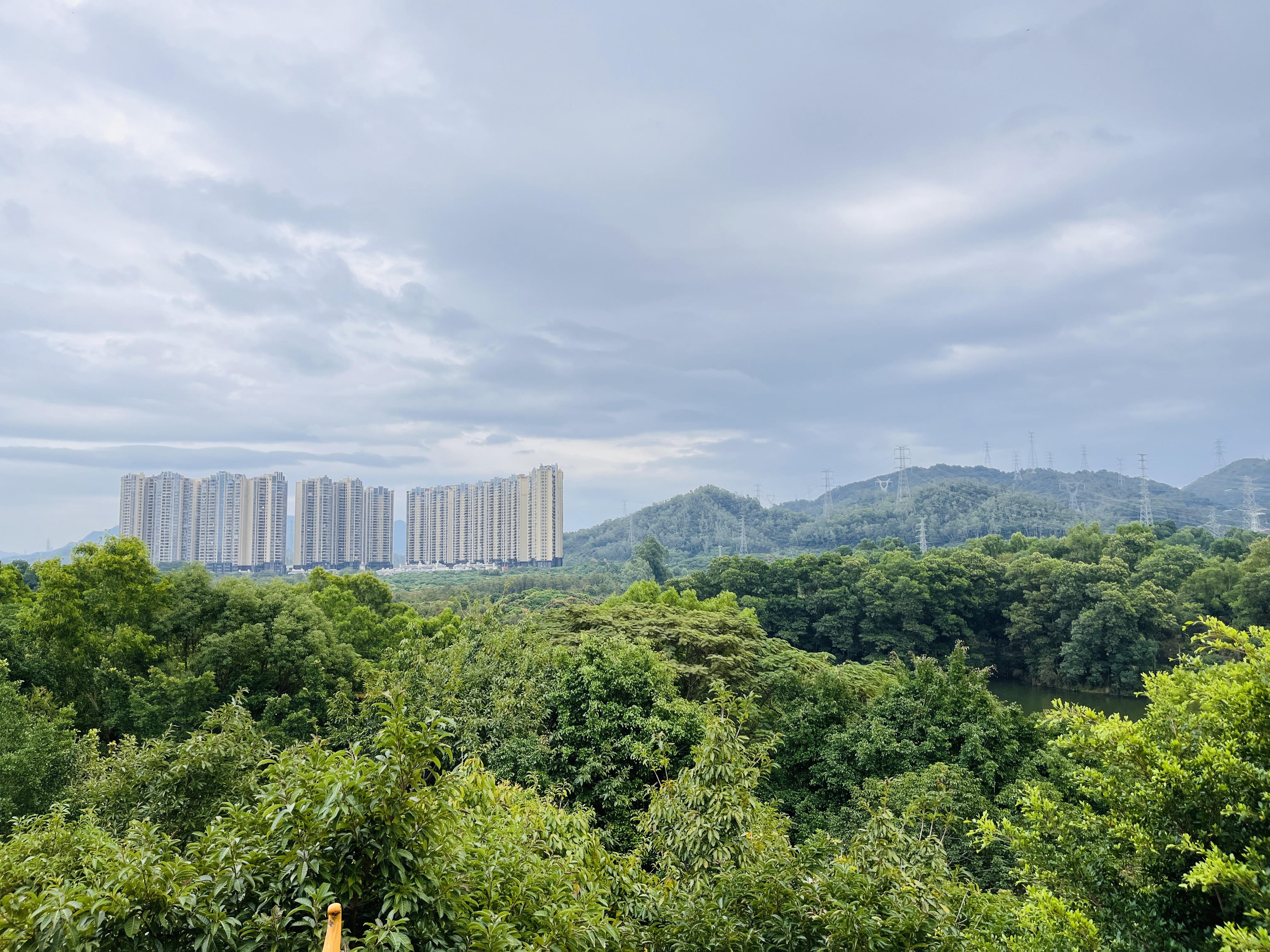 深圳坪山景区-大山陂公园 知乎