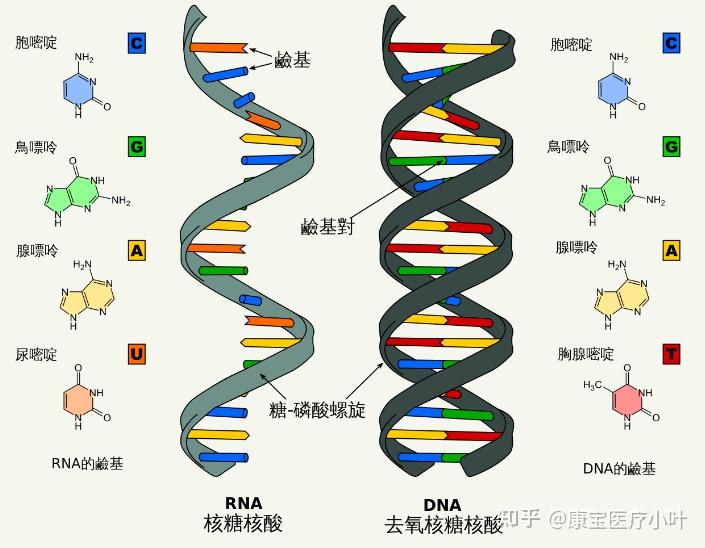 v2-9cd31667cefd69967abb782541589020_r.jpg