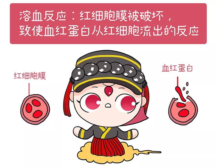 “新生儿溶血病”——血型之路才刚开始 - 知乎