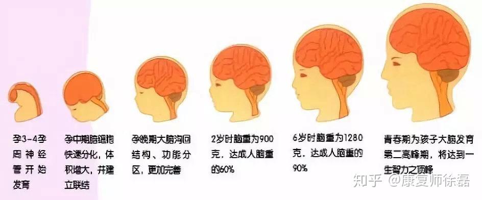 宝宝发育迟缓的原因是什么家长该怎么办