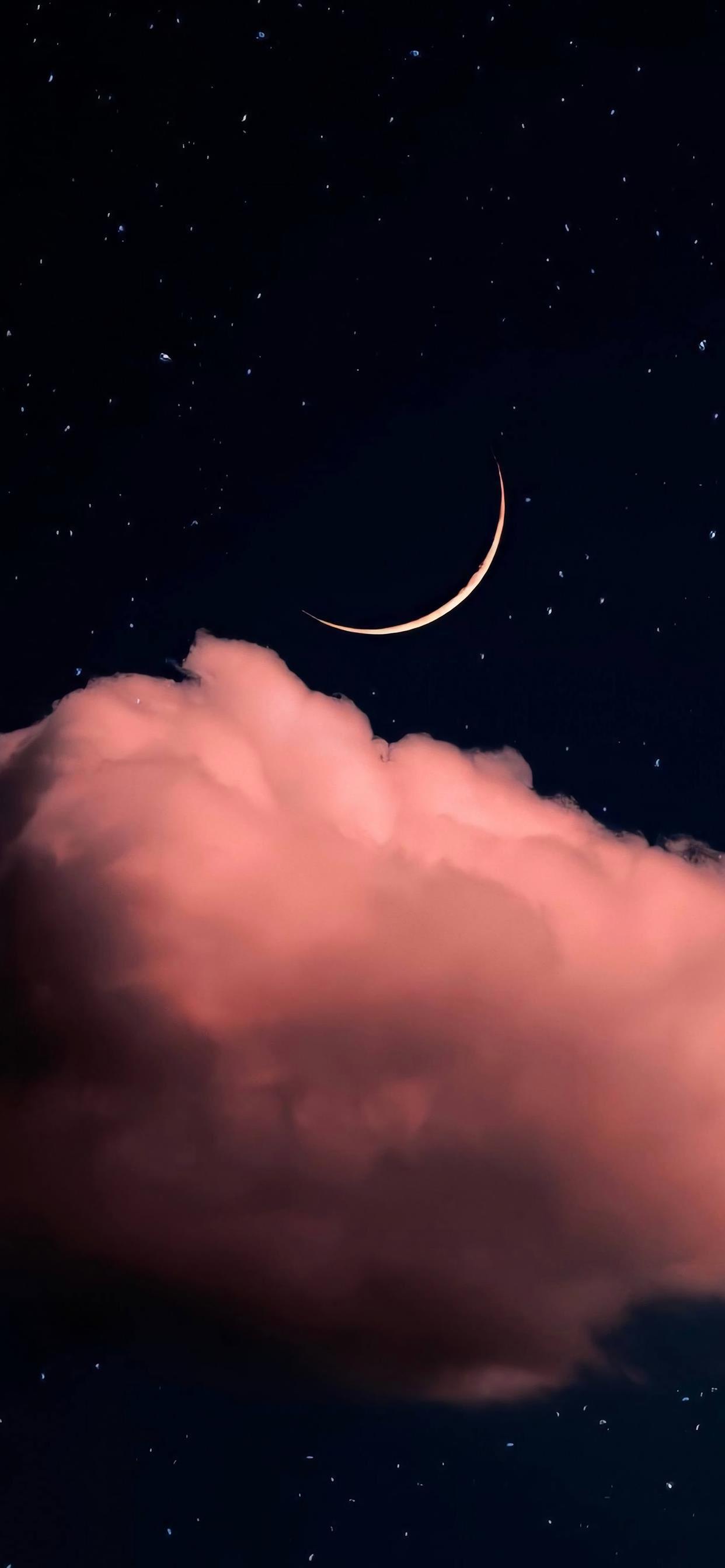 有哪些你看到感觉世界一下子安静了的图片? - 知乎