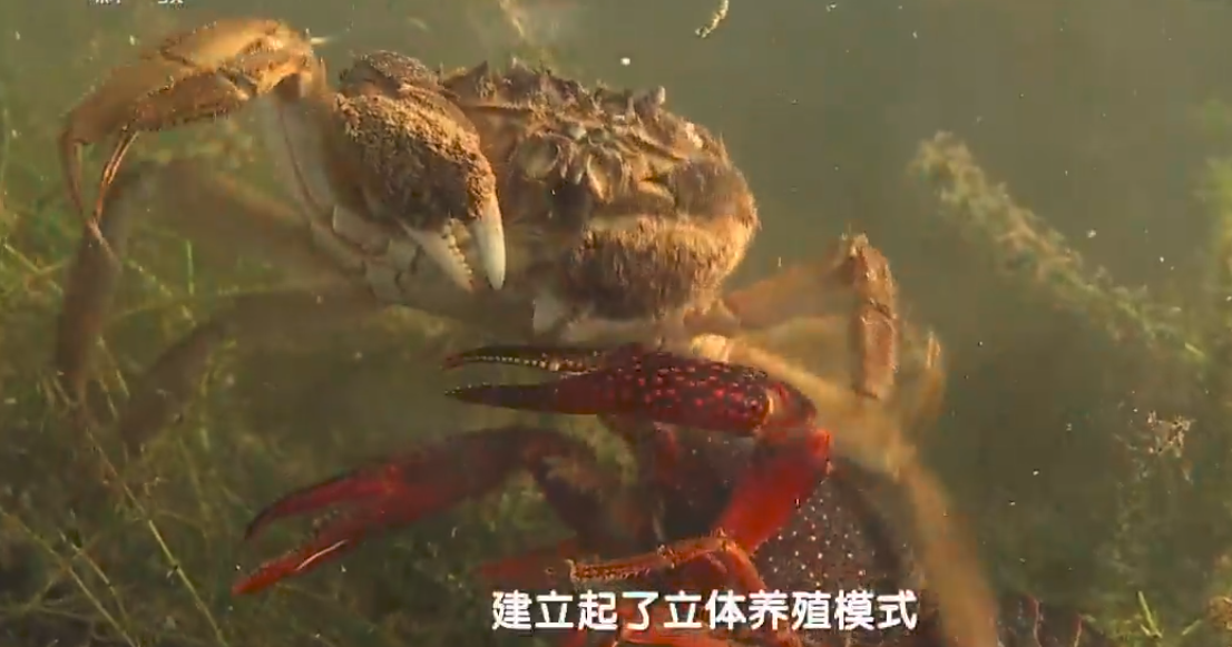 v2-9cfc7a946f3116a236cc7af82c1b02a8_1440w.jpg?source=172ae18b