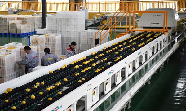 西部崛起「成渝城市群」