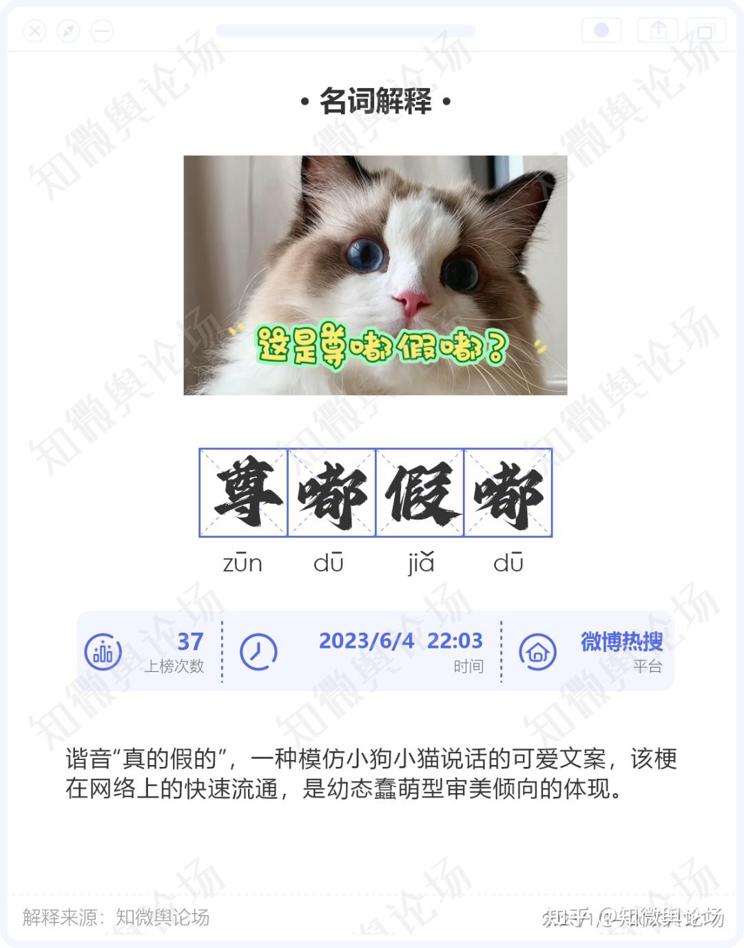 【年度盘点】2023年热梗观察，年轻人的语言狂欢 - 知乎