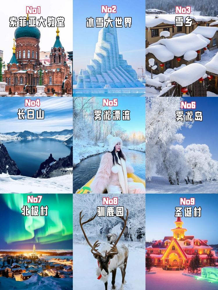 第一次去哈尔滨，作为一个南方人不知道从哪里下手，是不是找个人带着玩比较好，想问一下广大网友，哈尔滨的景点、费用、路线、注意事项、住宿、美食，越 ...