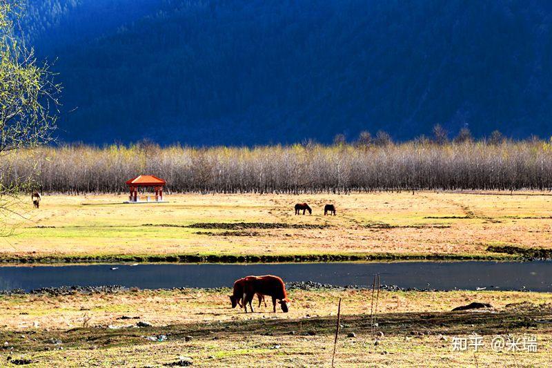 西藏游玩攻略波密附近有什么好玩的景点天气怎么样然乌湖到波密最美的