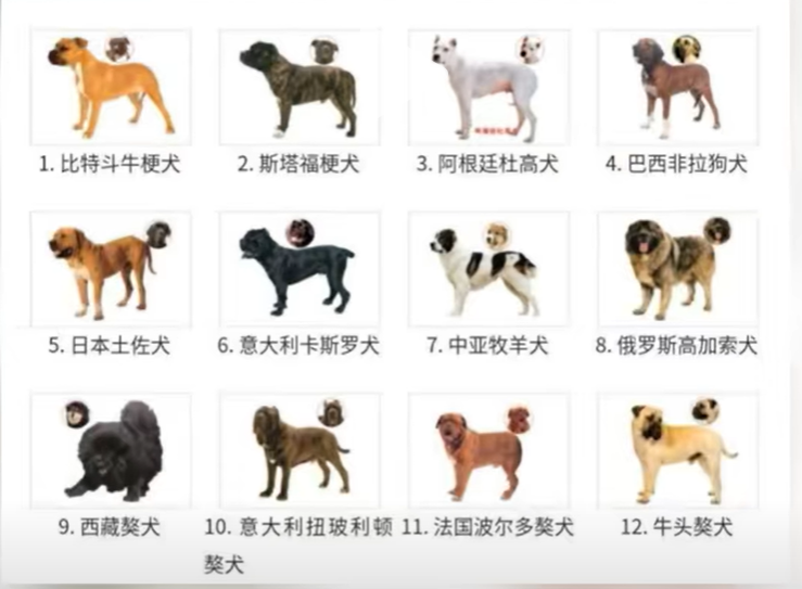定了！凡是发生烈性犬伤人事件，狗主人负全责！最高法说的！ - 知乎