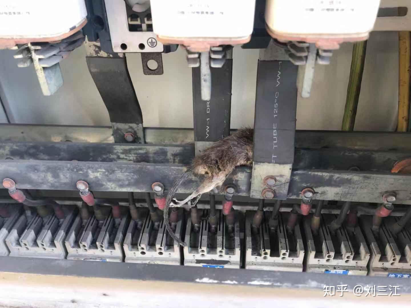 工程人员看过哪些一般人看不到的景象?