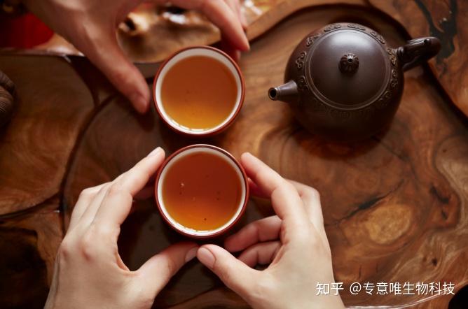 中医与茶疗:茶疗“治未病”在养生保健中的应用价值 - 知乎