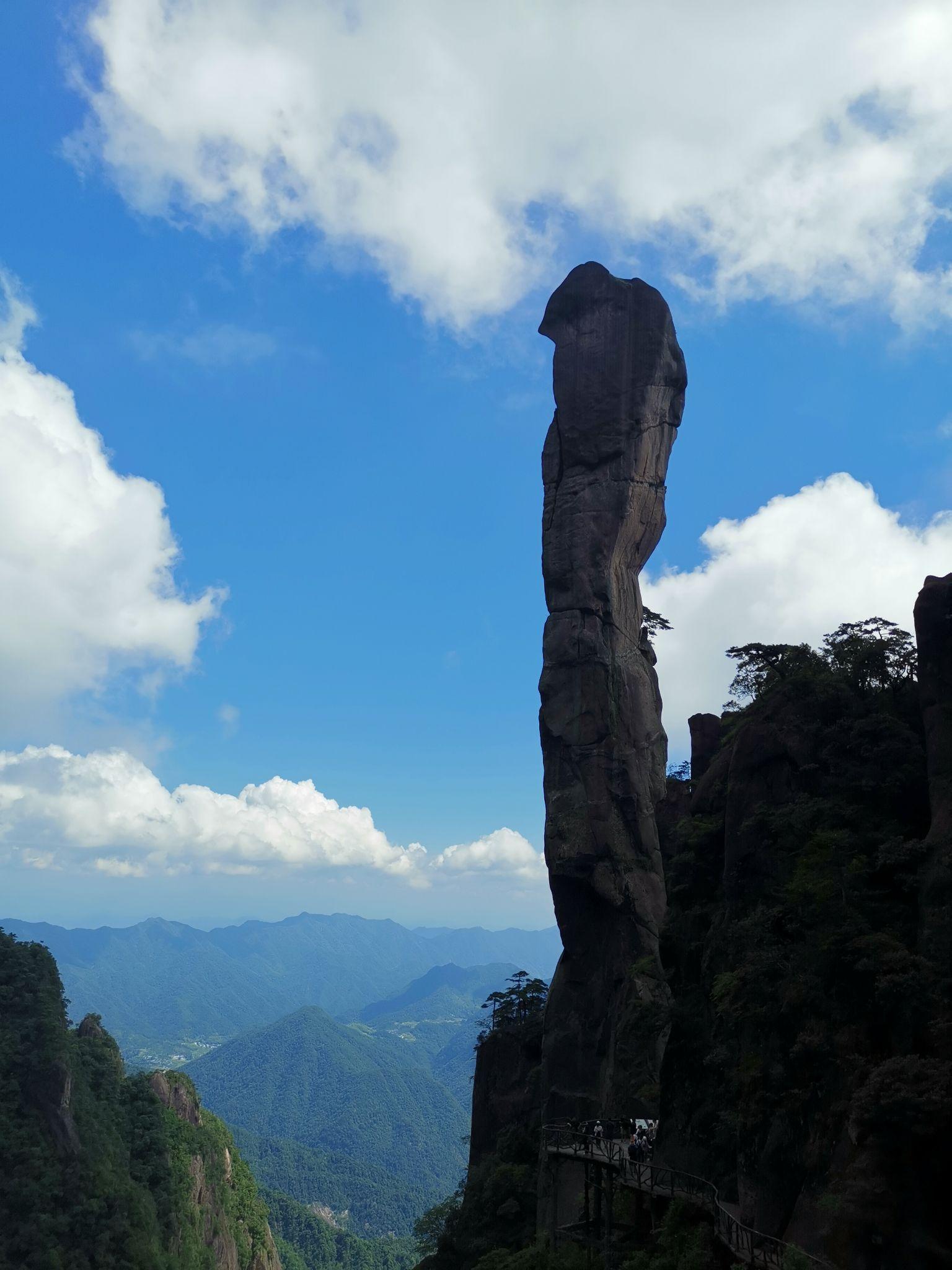 神龙出海松柏生图片