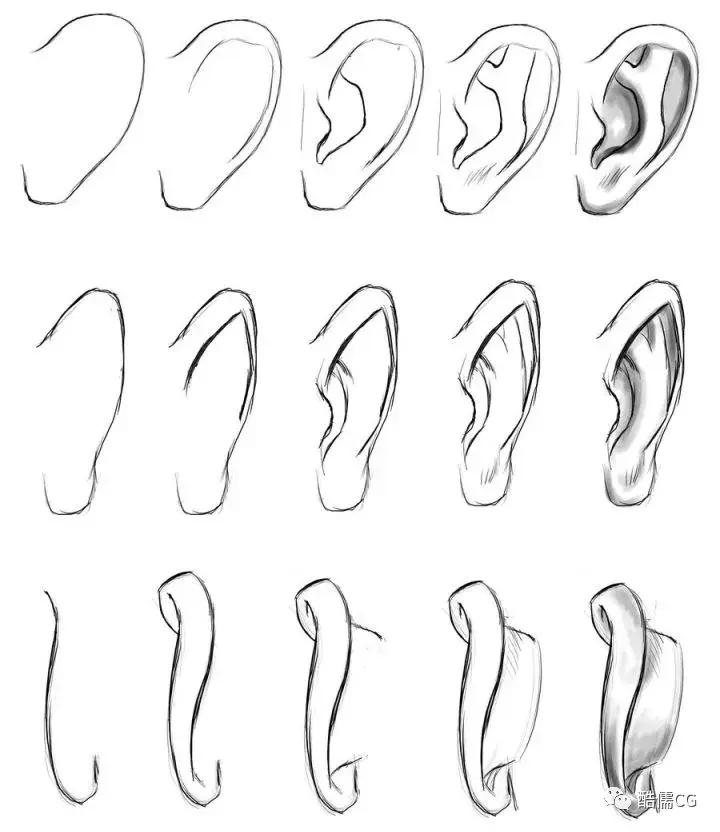 怎么快速画好人物耳朵只需五步轻松搞定