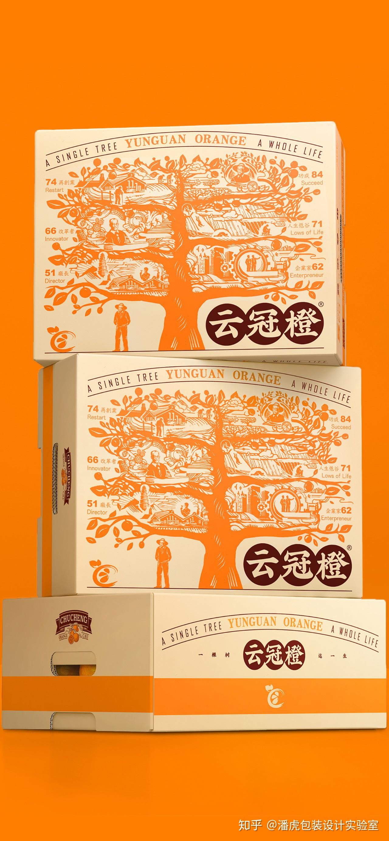 褚橙潘虎褚老的新树果子云冠橙鲜活上市