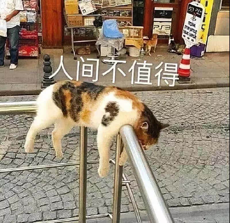 湖北赤壁市2020GDP_湖北赤壁市峨眉塔图片(3)