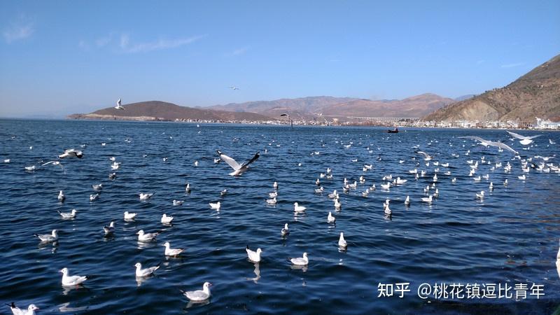 一个人旅行的感受知乎(一个人旅行的句子说说心情)