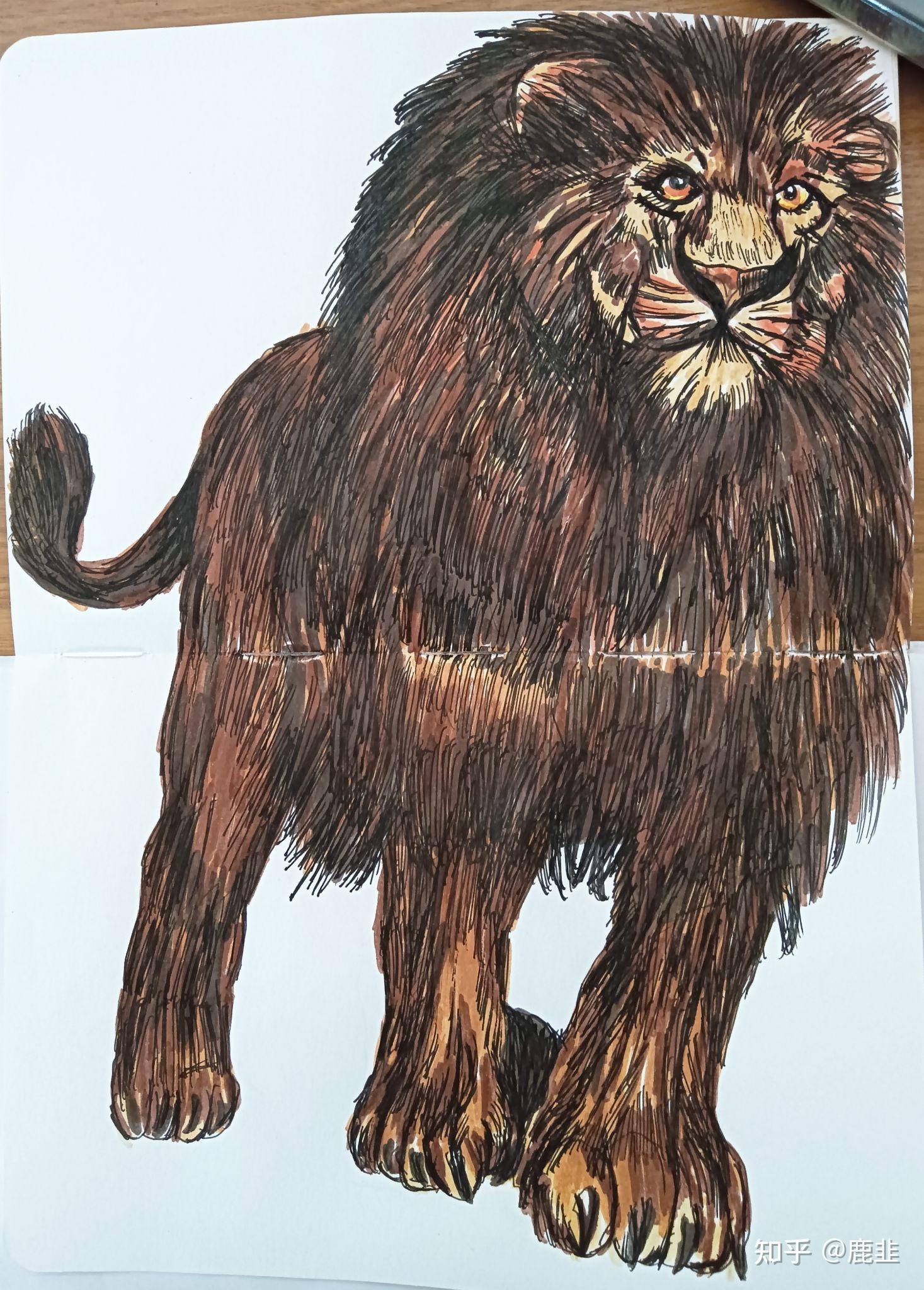 发现自己画画时,画的很慢,一张很简单的图都要画上好长时间,郁闷。求解?插图 发现自己画画时,画的很慢,一张很简单的图都要画上好长时间,郁闷。求解?插图