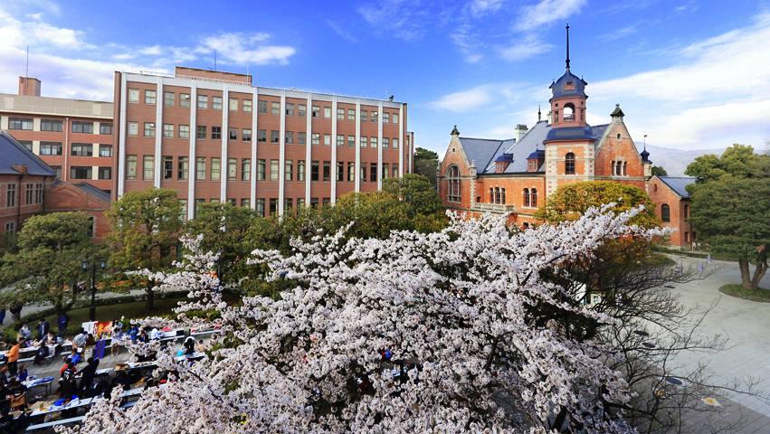 日本考研 在同志社大学从修士读到博士是什么体验 知乎