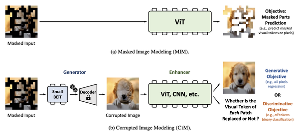 Mask Autoencoder 各类变体 - 知乎