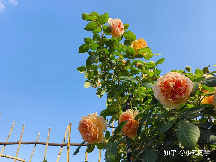 人，可以废物到什么程度？