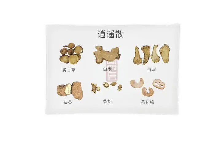 逍遥散、加味逍遥散方剂解析——学习笔记 - 知乎