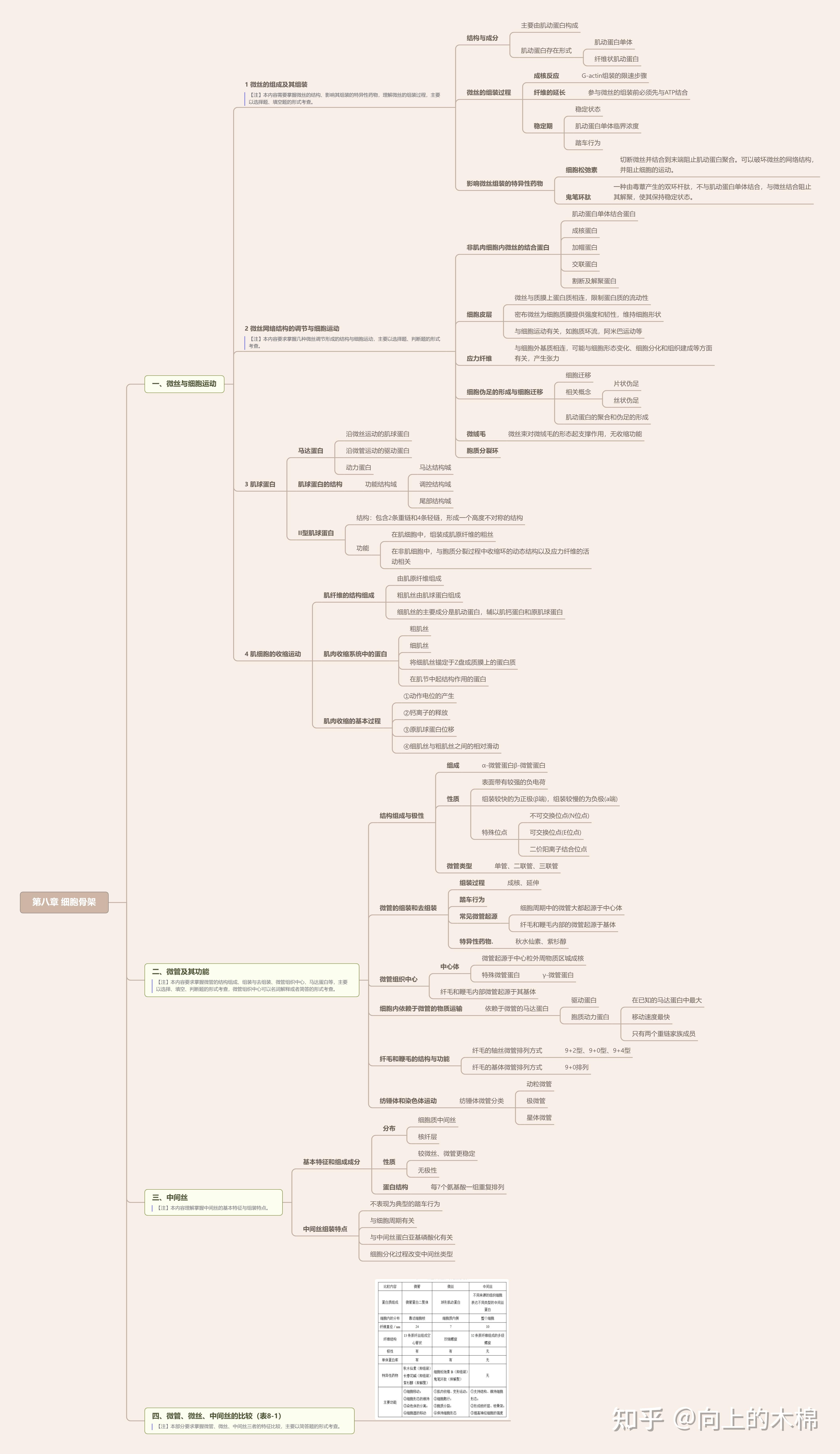 细胞的癌变的思维导图图片