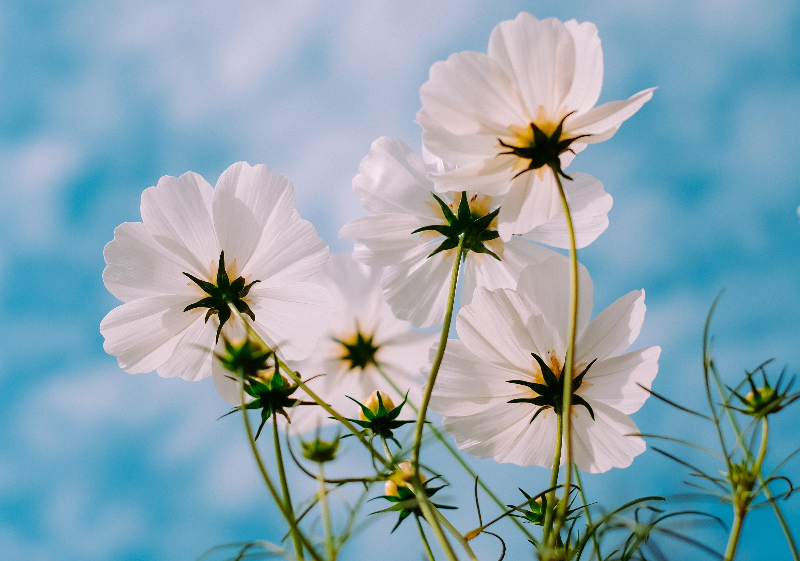 有哪些温柔干净且无关爱情的句子