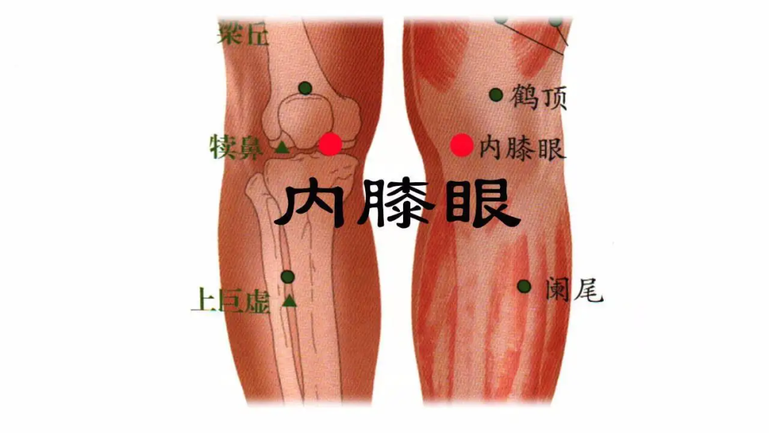 膝盖发凉?其实是它在求救,经常艾灸让膝盖舒服起来~ - 知乎