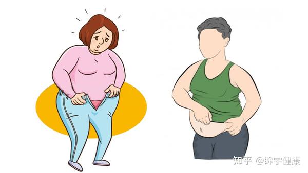 中年发福大肚腩,想要战胜它不? - 知乎