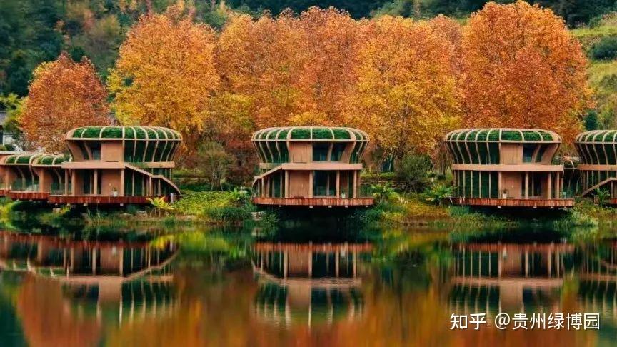 尾款人的酒店福利,99元即可入住都匀台酒店-都匀台酒店招聘