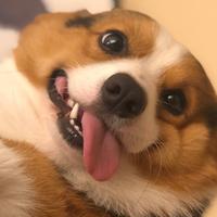 Zhihu profile picture for @exceptions