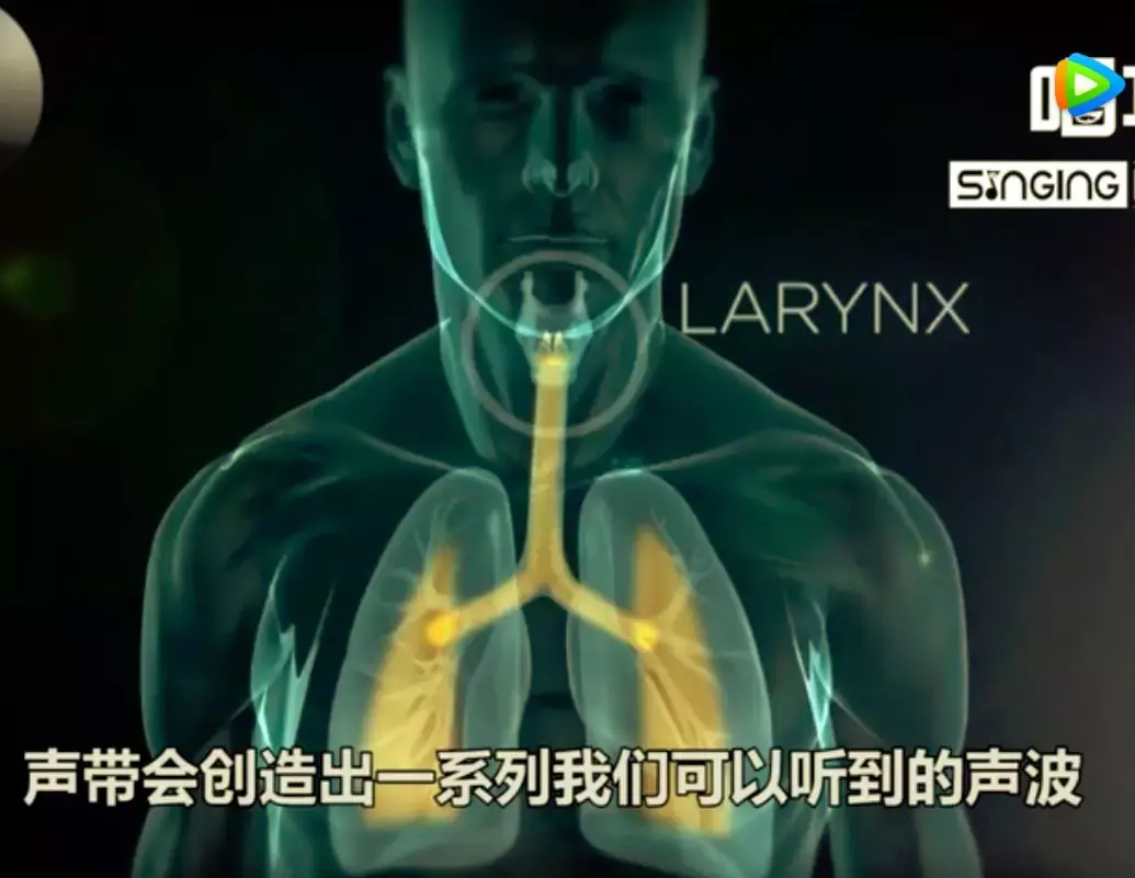 台州援疆医生同台手术，成功切除高难度声带息肉-中国台州网