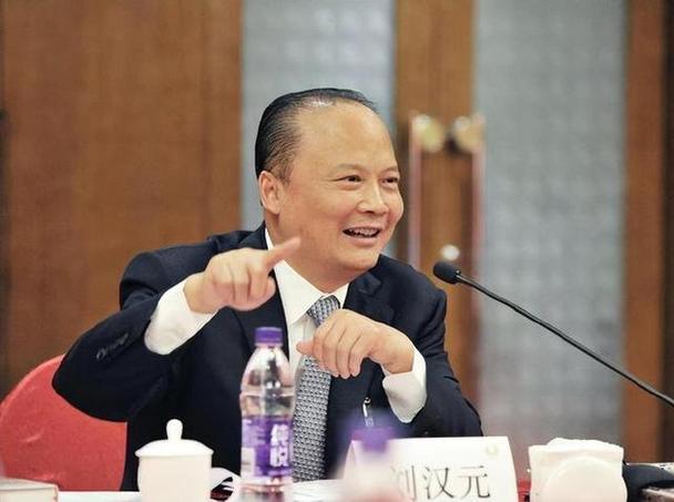 聚焦｜全国人大代表刘汉元：“新三样”出海，步子可以快一点 - 知乎