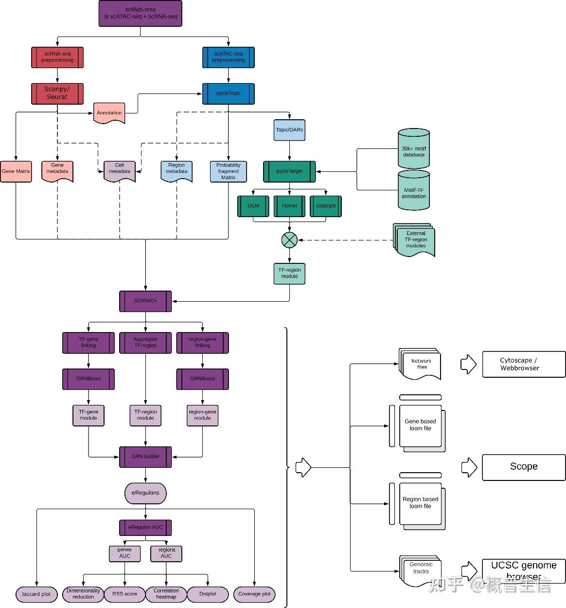 Nature Methods增强子介导基因调控网络分析利器SCENIC+ - 知乎