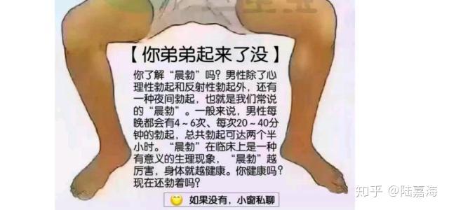 小男孩晨勃图片