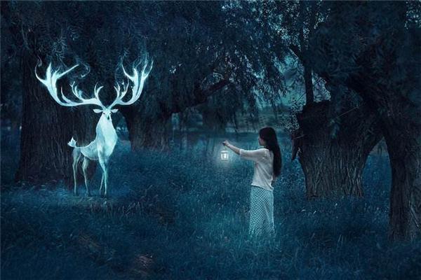 梦境探秘,梦见在海里捡死女人的金戒指的深层含义 梦境探秘,梦见在海里捡死女人的金戒指的深层含义