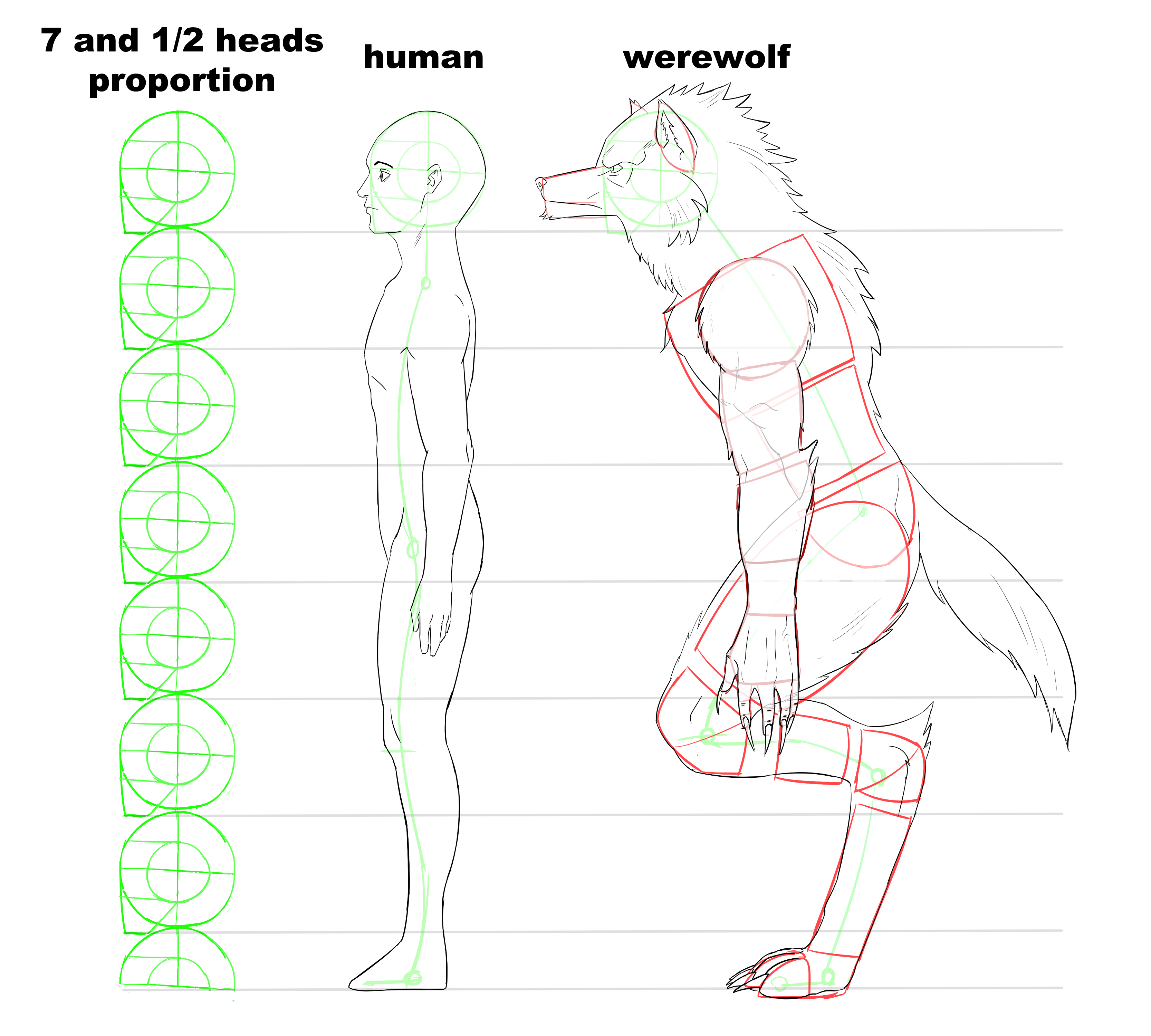 如何画兽设 身体结构图片