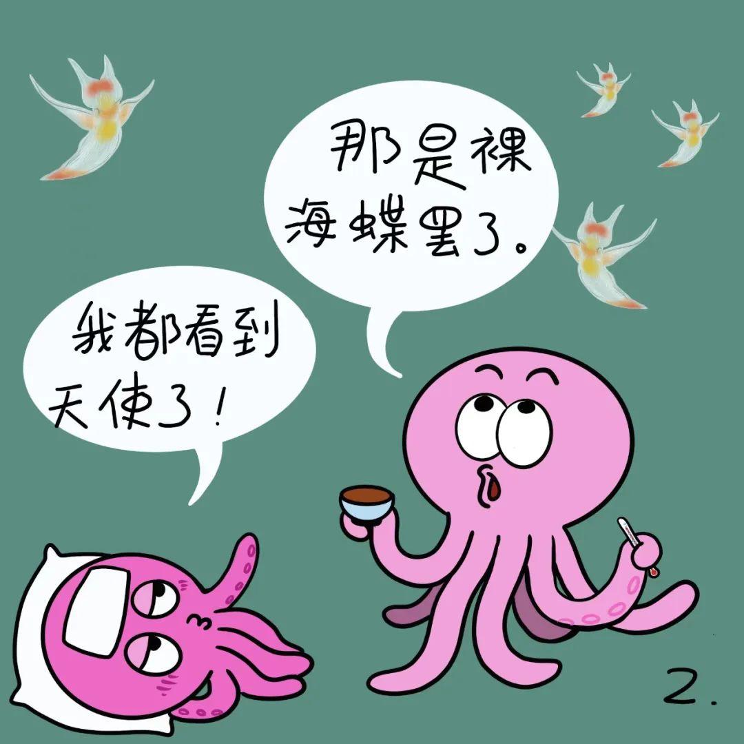 科普漫画 | “海天使”还是“小恶魔”?(作者:刘萍) - 知乎