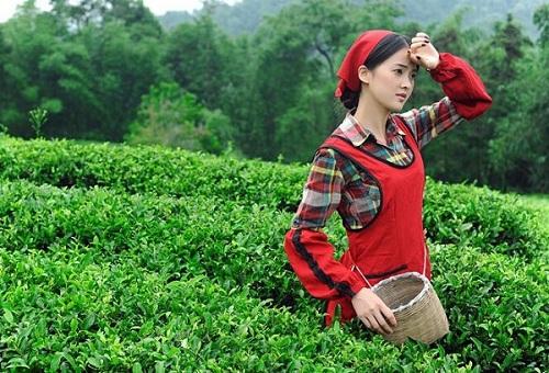 但是茶再好,人再美,茶的包装不行去中也体现不出它的价值,随便举个